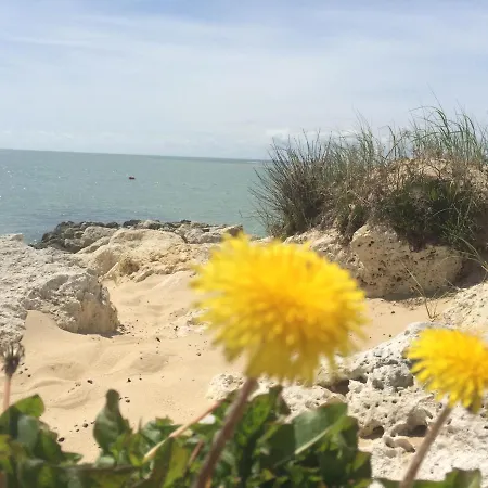 אתר קמפינג Beau Mobilhome La Palmyre 4 Etoiles לס מתה