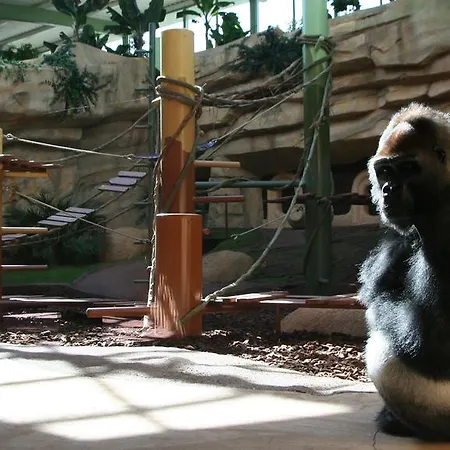 キャンプ場 Beau Mobilhome La Palmyre 4 Etoiles レ・マトゥ