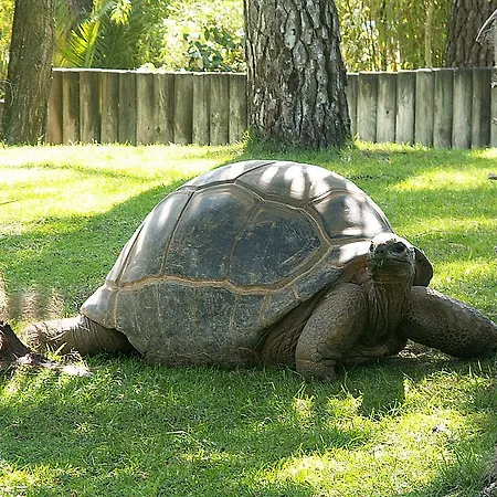 キャンプ場 Beau Mobilhome La Palmyre 4 Etoiles レ・マトゥ