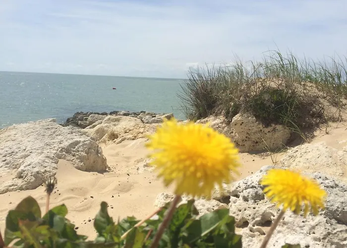 Camping Beau Mobilhome La Palmyre 4 étoiles Les Mathes